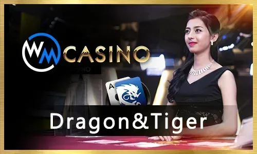 Ivibet casino bonuses and promotions